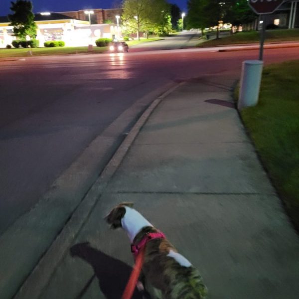 Where have we&nbsp;been?