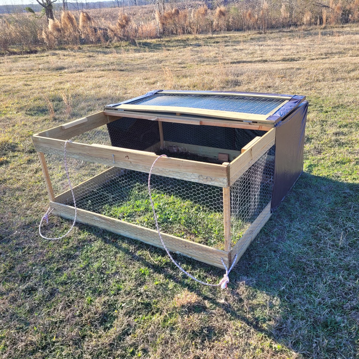 Meat Chickens: Part&nbsp;2